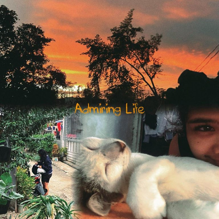 Captured Thoughts 12: Admiring Life